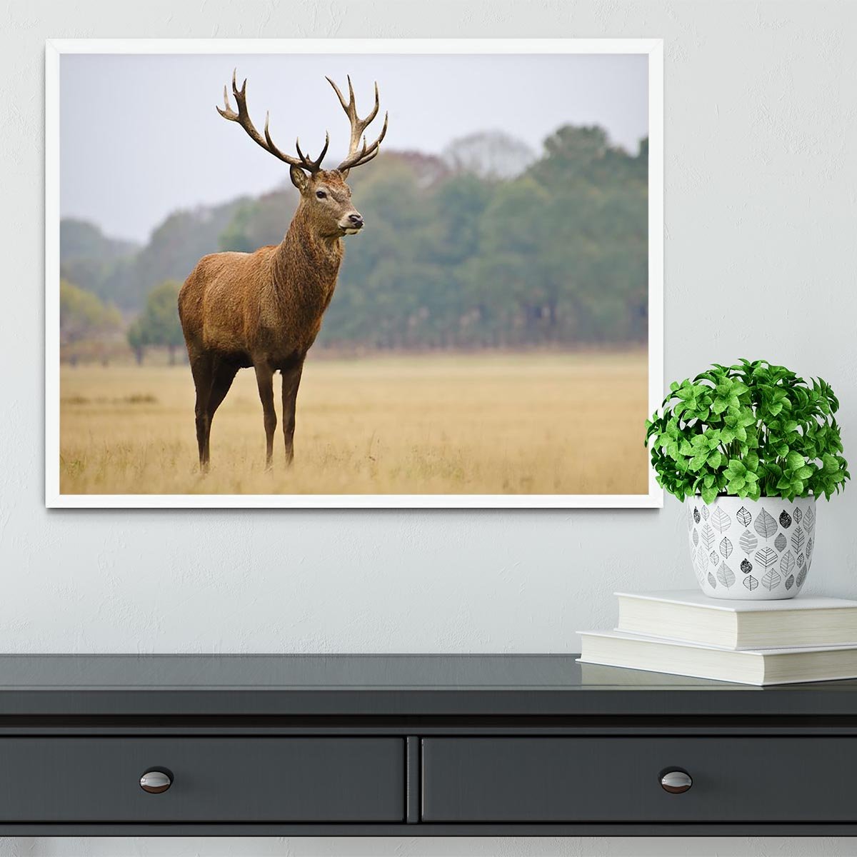 Portrait of majestic powerful adult red deer stag in Autumn Fall forest Framed Print - Canvas Art Rocks -6