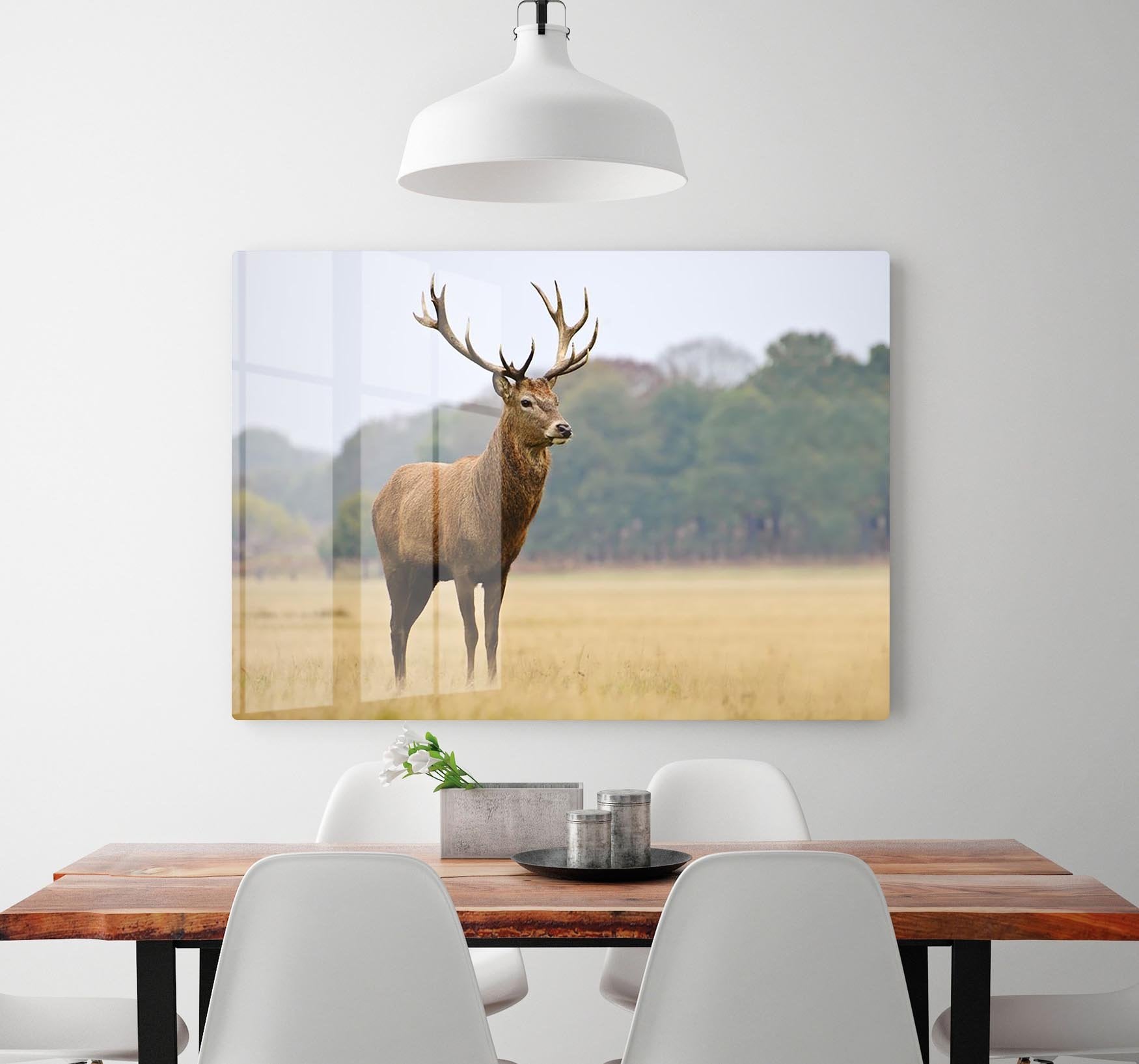 Portrait of majestic powerful adult red deer stag in Autumn Fall forest HD Metal Print - Canvas Art Rocks - 2