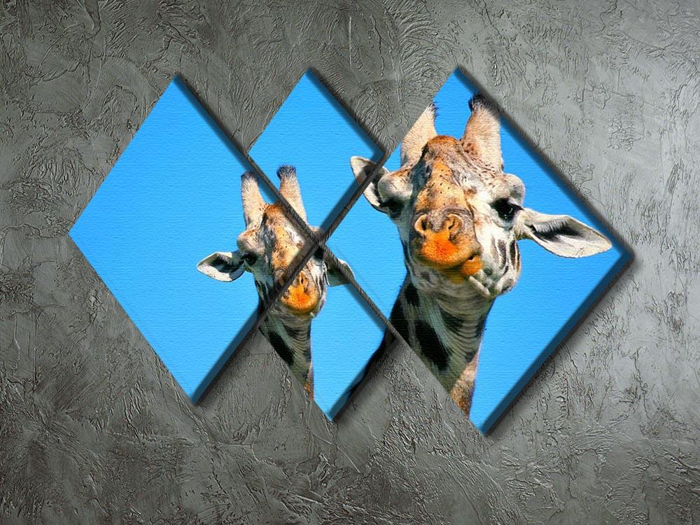 Portrait of mother and baby giraffe. Africa. Kenya 4 Square Multi Panel Canvas - Canvas Art Rocks - 2