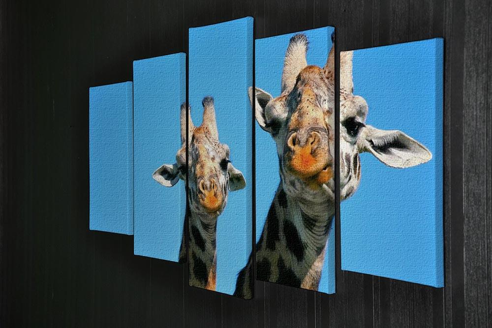 Portrait of mother and baby giraffe. Africa. Kenya 5 Split Panel Canvas - Canvas Art Rocks - 2