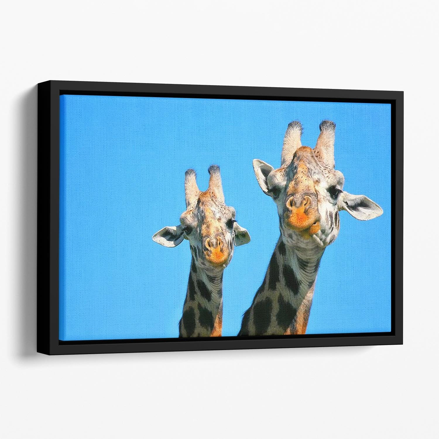 Portrait of mother and baby giraffe. Africa. Kenya Floating Framed Canvas - Canvas Art Rocks - 1