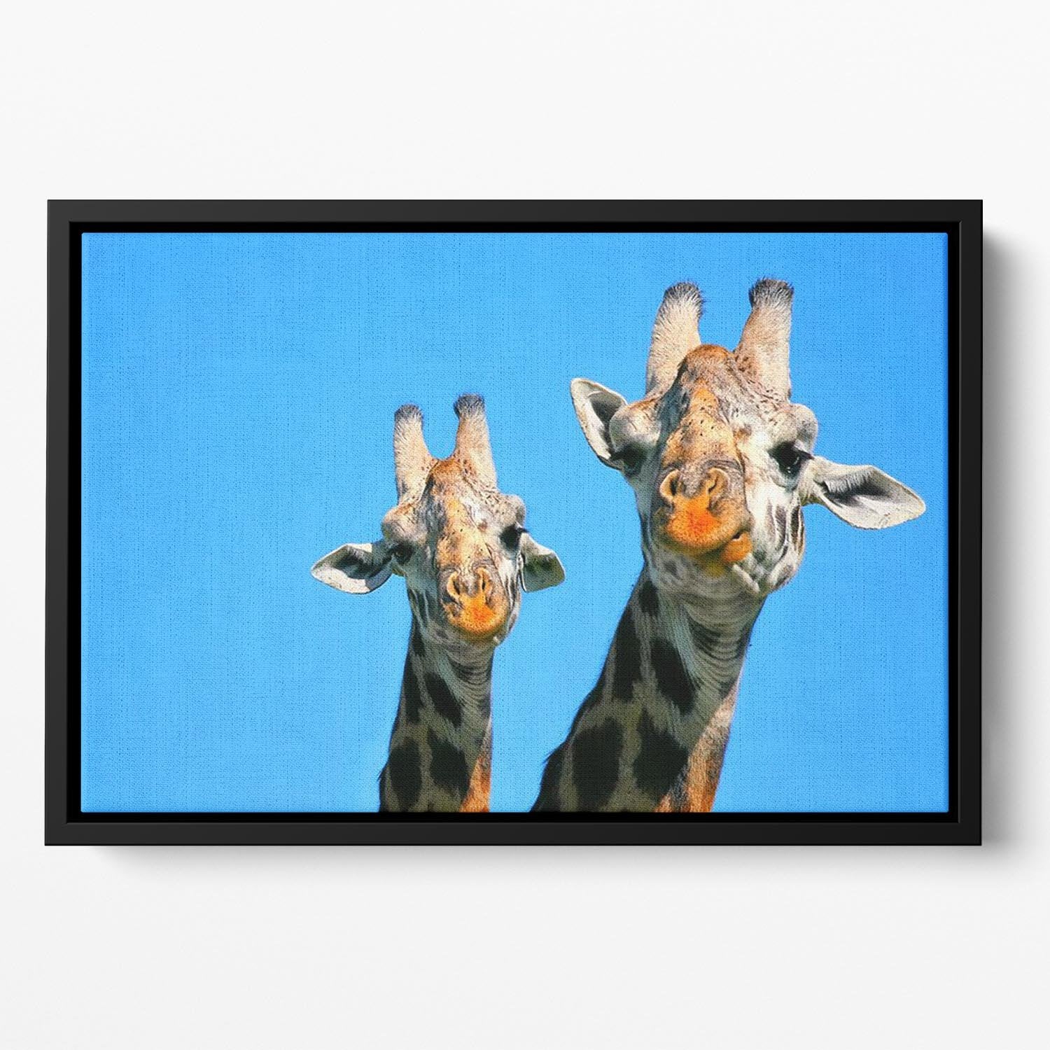 Portrait of mother and baby giraffe. Africa. Kenya Floating Framed Canvas - Canvas Art Rocks - 2