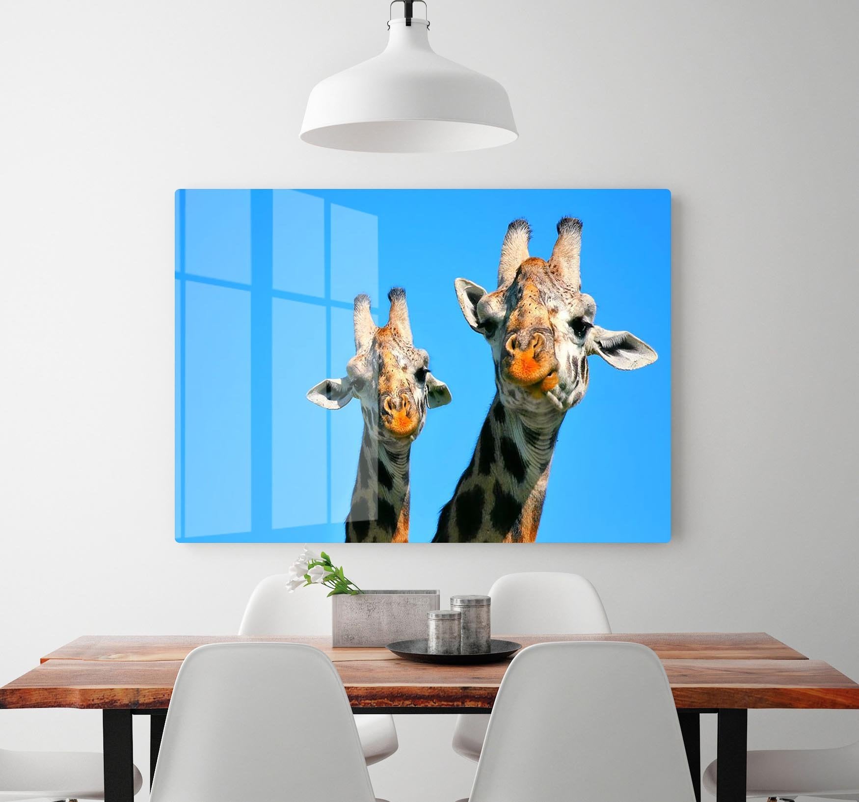 Portrait of mother and baby giraffe. Africa. Kenya HD Metal Print - Canvas Art Rocks - 2