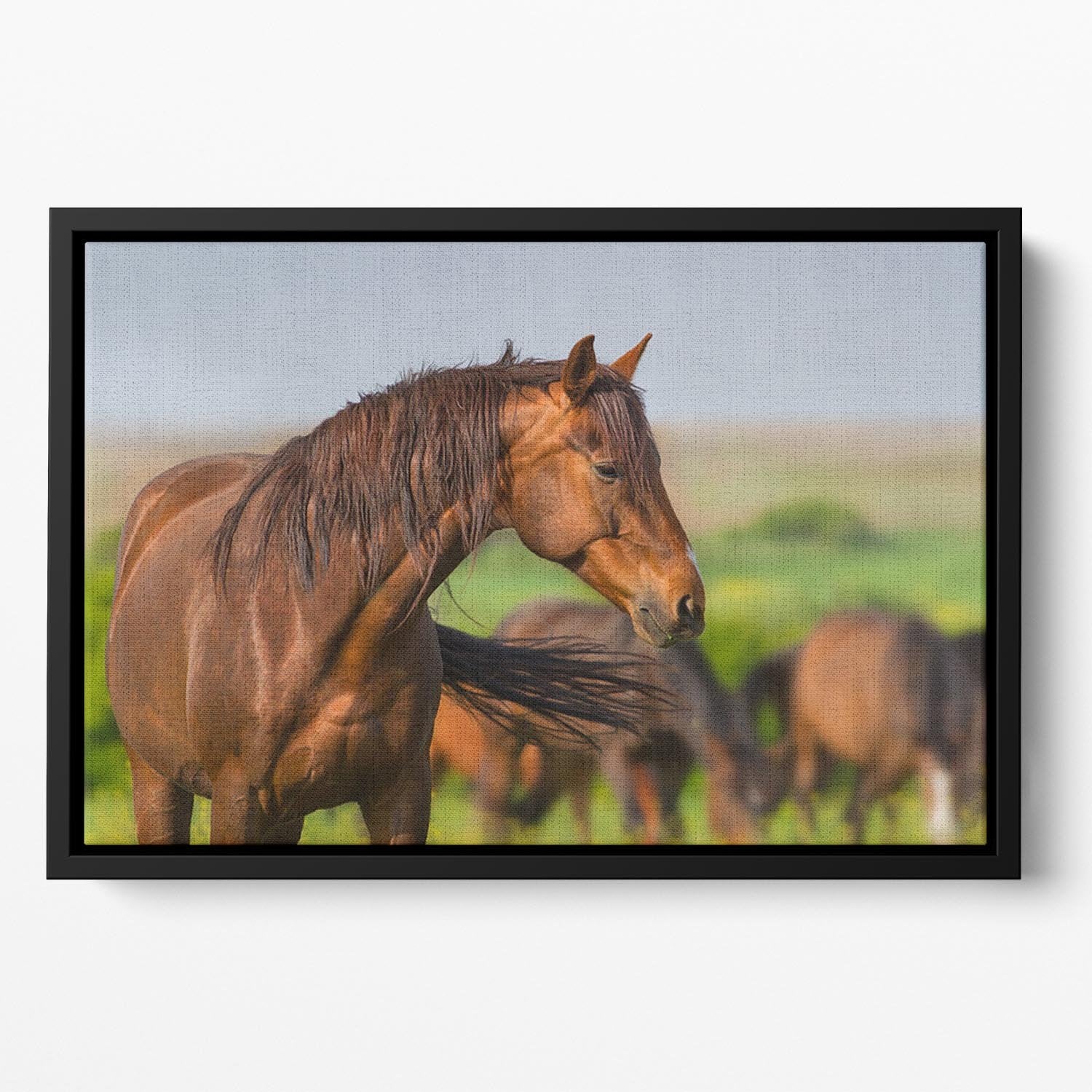 Portrait of red horse in herd on spring pasture Floating Framed Canvas - Canvas Art Rocks - 2