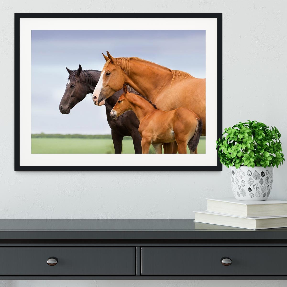 Portrait of two mares and foal at pasture Framed Print - Canvas Art Rocks - 1