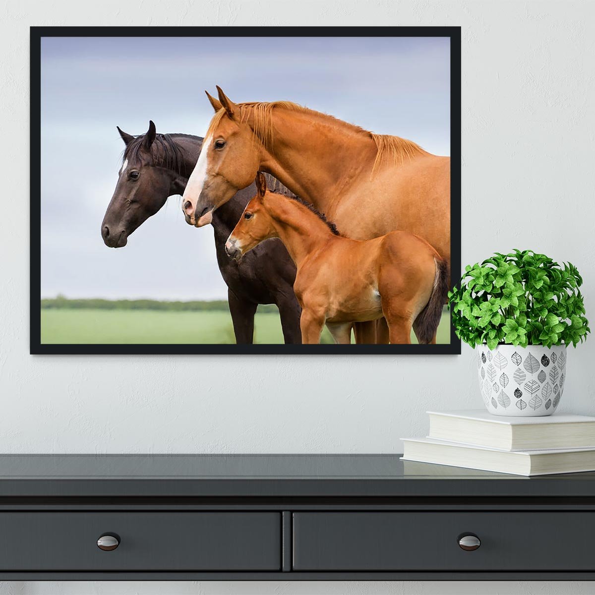 Portrait of two mares and foal at pasture Framed Print - Canvas Art Rocks - 2