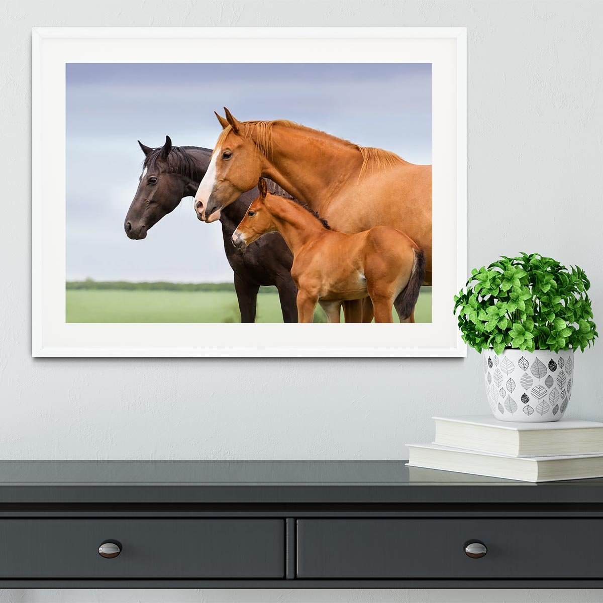 Portrait of two mares and foal at pasture Framed Print - Canvas Art Rocks - 5