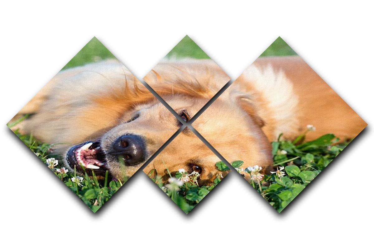 Portrait young dog playing in the meadow 4 Square Multi Panel Canvas - Canvas Art Rocks - 1