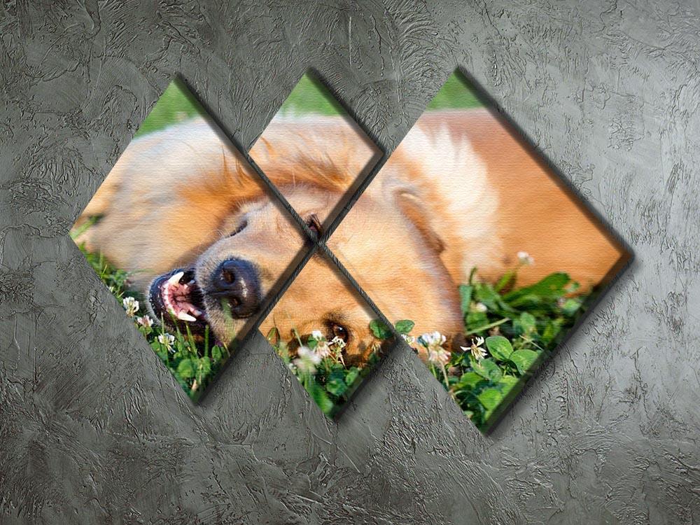 Portrait young dog playing in the meadow 4 Square Multi Panel Canvas - Canvas Art Rocks - 2