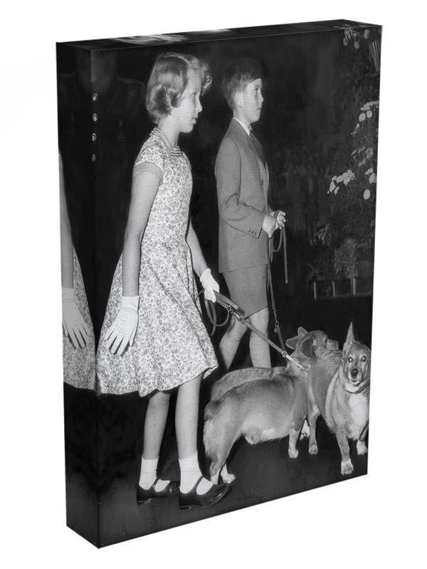 Prince Charles with Princess Anne as children with pet dogs Canvas Print or Poster - Canvas Art Rocks - 3