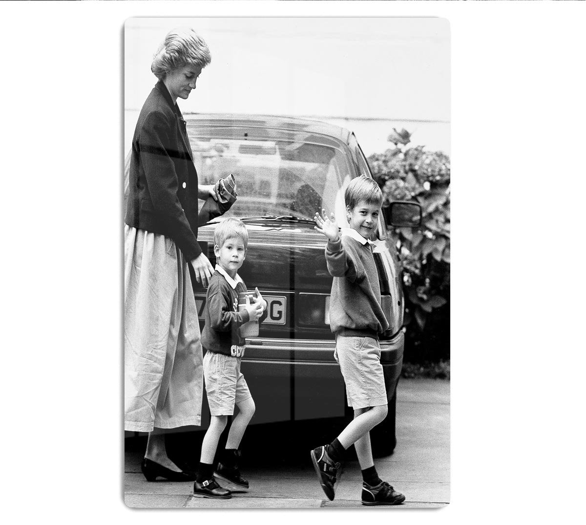Prince Harry returning to school HD Metal Print
