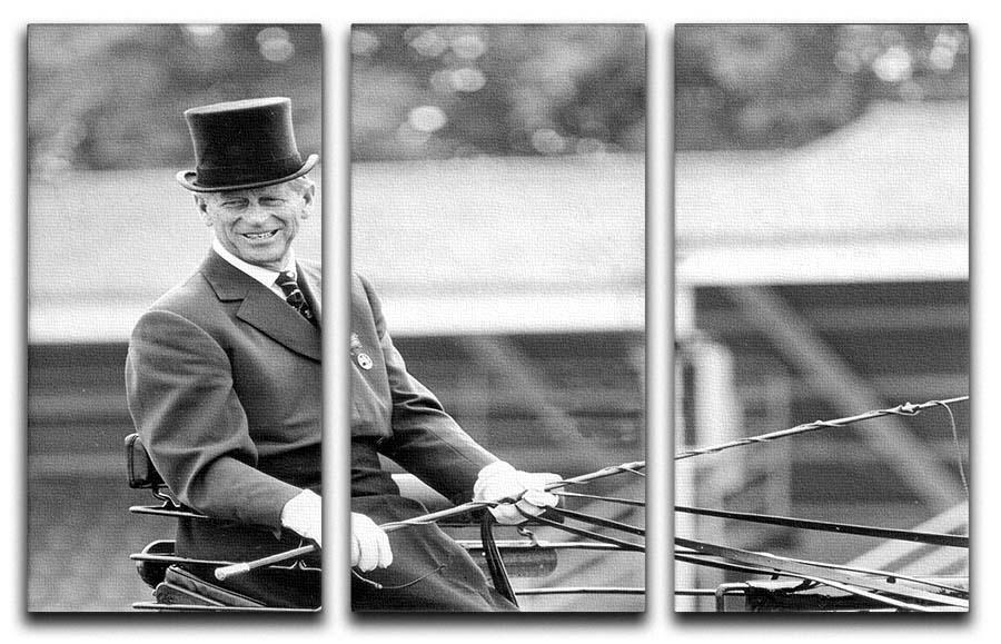 Prince Philip driving a carriage during a race at Ascot 3 Split Panel Canvas Print - Canvas Art Rocks - 1