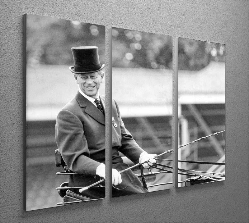 Prince Philip driving a carriage during a race at Ascot 3 Split Panel Canvas Print - Canvas Art Rocks - 2