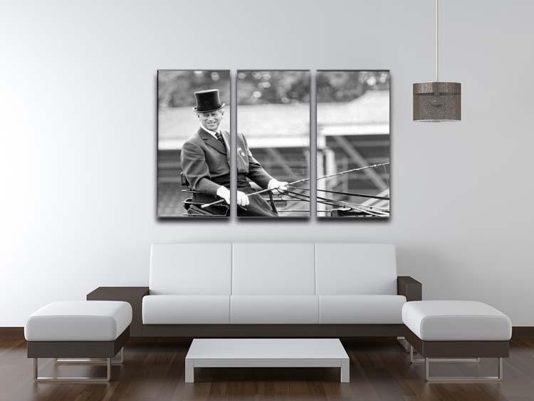 Prince Philip driving a carriage during a race at Ascot 3 Split Panel Canvas Print - Canvas Art Rocks - 3