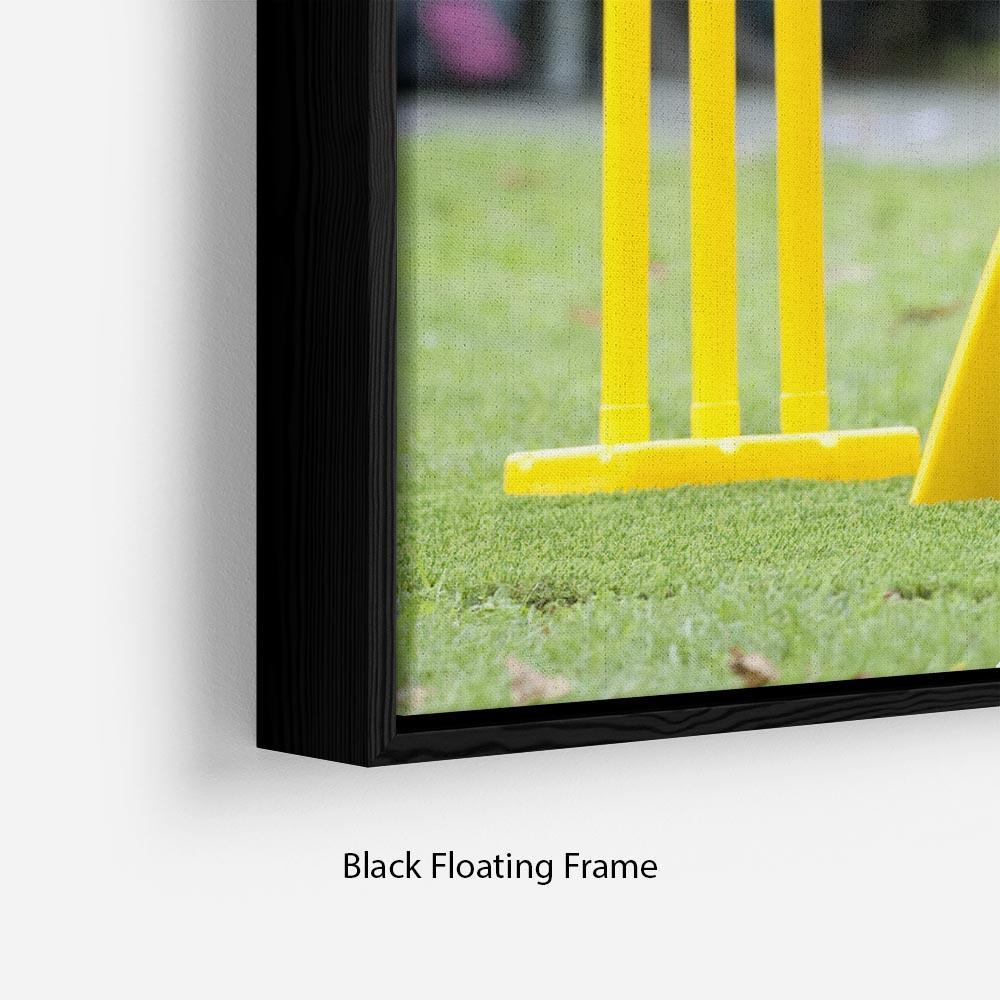 Prince William and Kate playing cricket in New Zealand Floating Frame Canvas