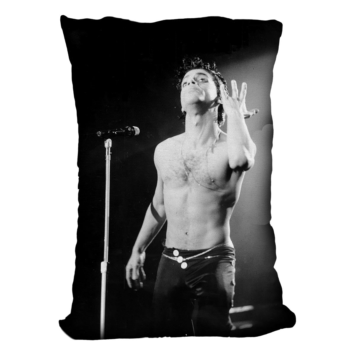 Prince live Cushion