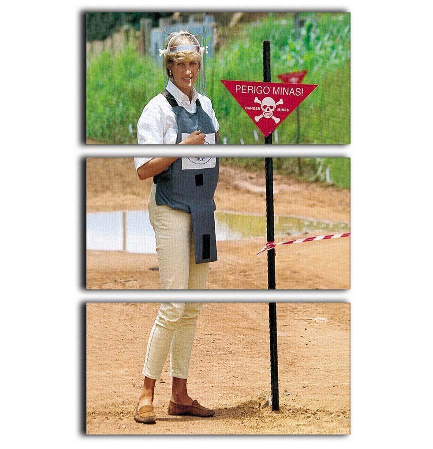 Princes Diana at a mine field in Angola for a Red Cross visit 3 Split Panel Canvas Print - Canvas Art Rocks - 1