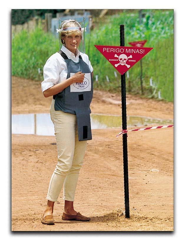 Princes Diana at a mine field in Angola for a Red Cross visit Canvas Print or Poster  - Canvas Art Rocks - 1