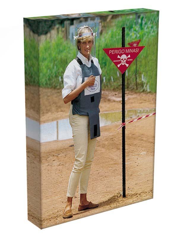 Princes Diana at a mine field in Angola for a Red Cross visit Canvas Print or Poster - Canvas Art Rocks - 3