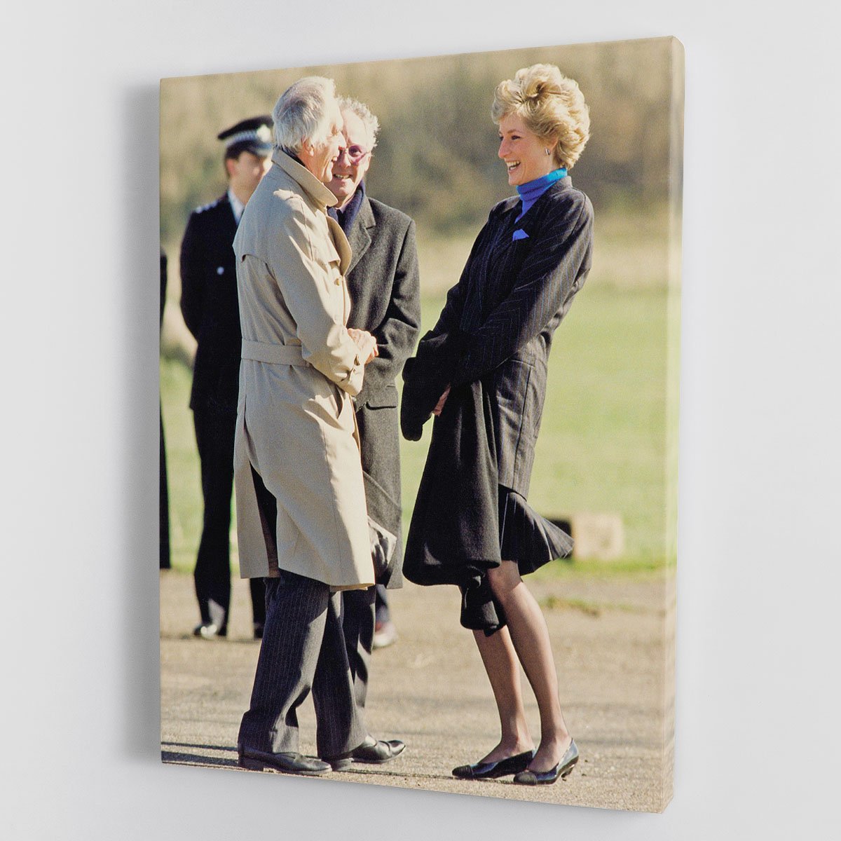Princess Diana laughing Canvas Print or Poster