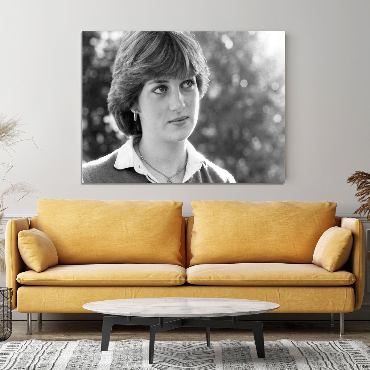 Princess Diana meeting the press for the first time Canvas Print or Poster