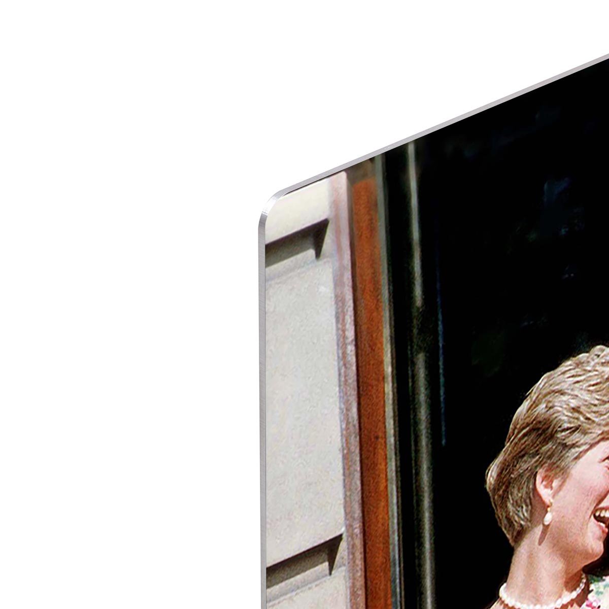 Princess Diana with US First Lady Barbara Bush HD Metal Print
