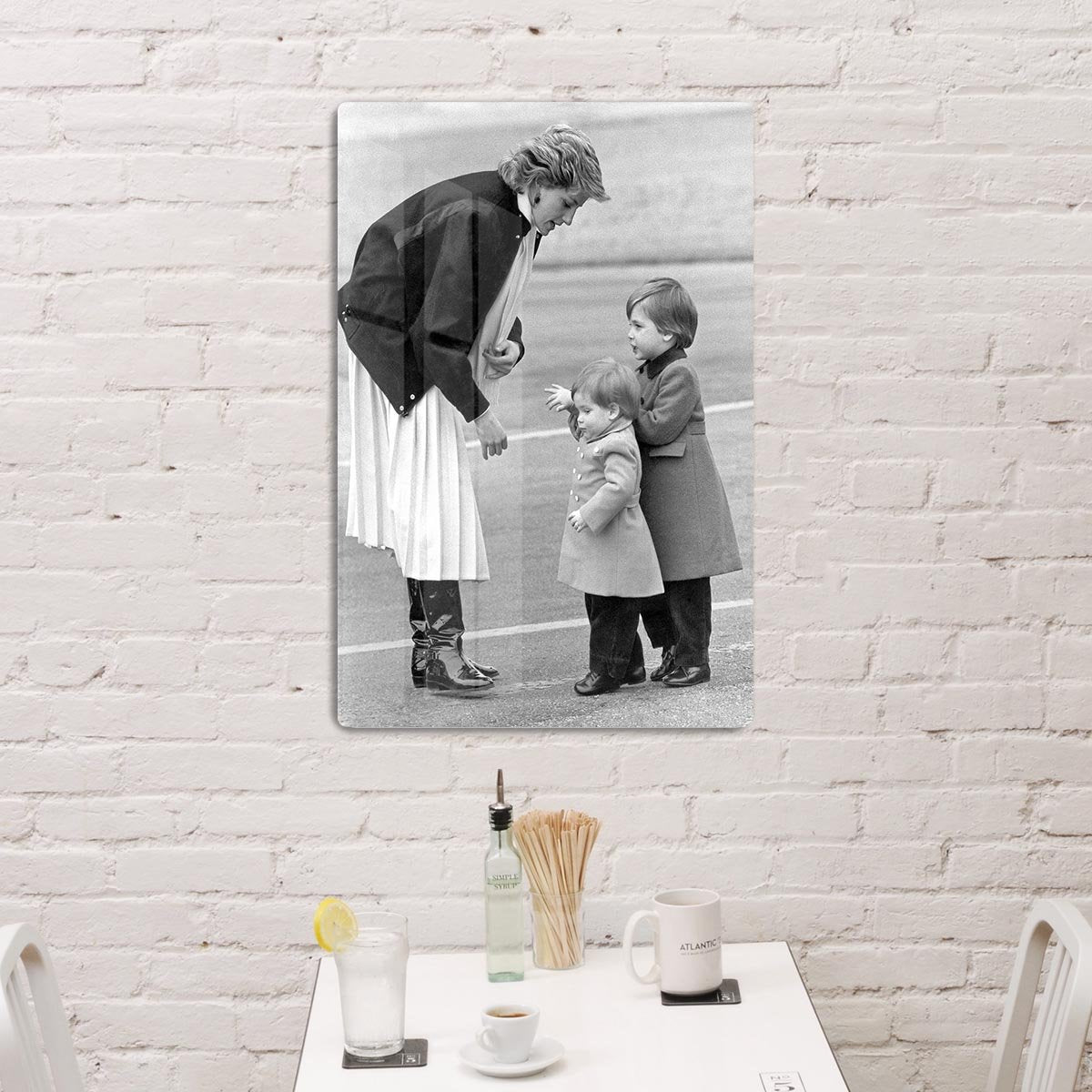 Princess Diana with little Prince Harry and Prince William HD Metal Print