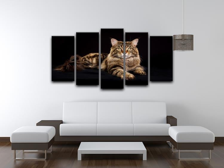 Purebred Maine Coon cat 5 Split Panel Canvas - Canvas Art Rocks - 3