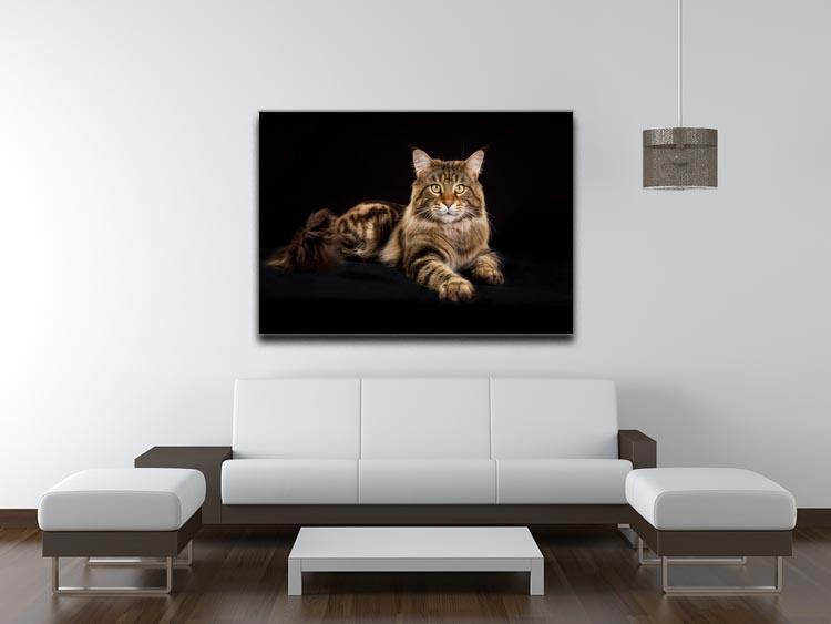 Purebred Maine Coon cat Canvas Print or Poster - Canvas Art Rocks - 4