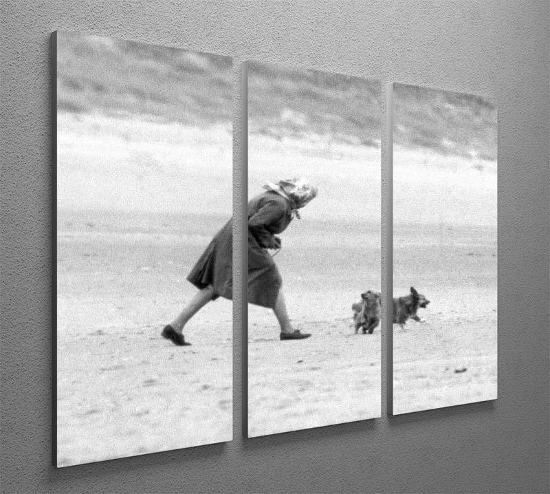Queen Elizabeth II walking her pet corgis on a Norfolk beach 3 Split Panel Canvas Print - Canvas Art Rocks - 2