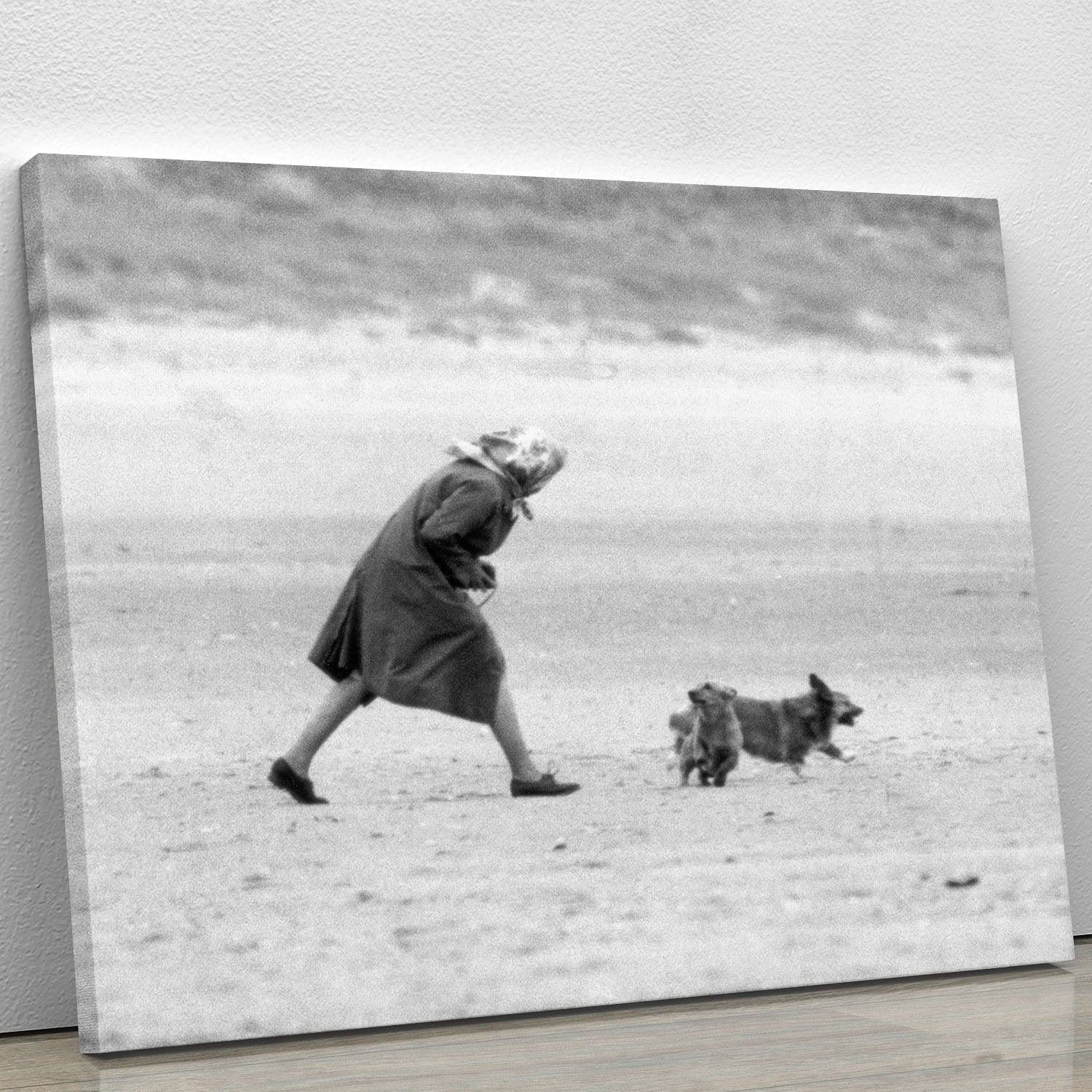 Queen Elizabeth II walking her pet corgis on a Norfolk beach Canvas Print or Poster