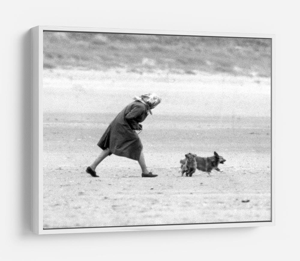 Queen Elizabeth II walking her pet corgis on a Norfolk beach HD Metal Print