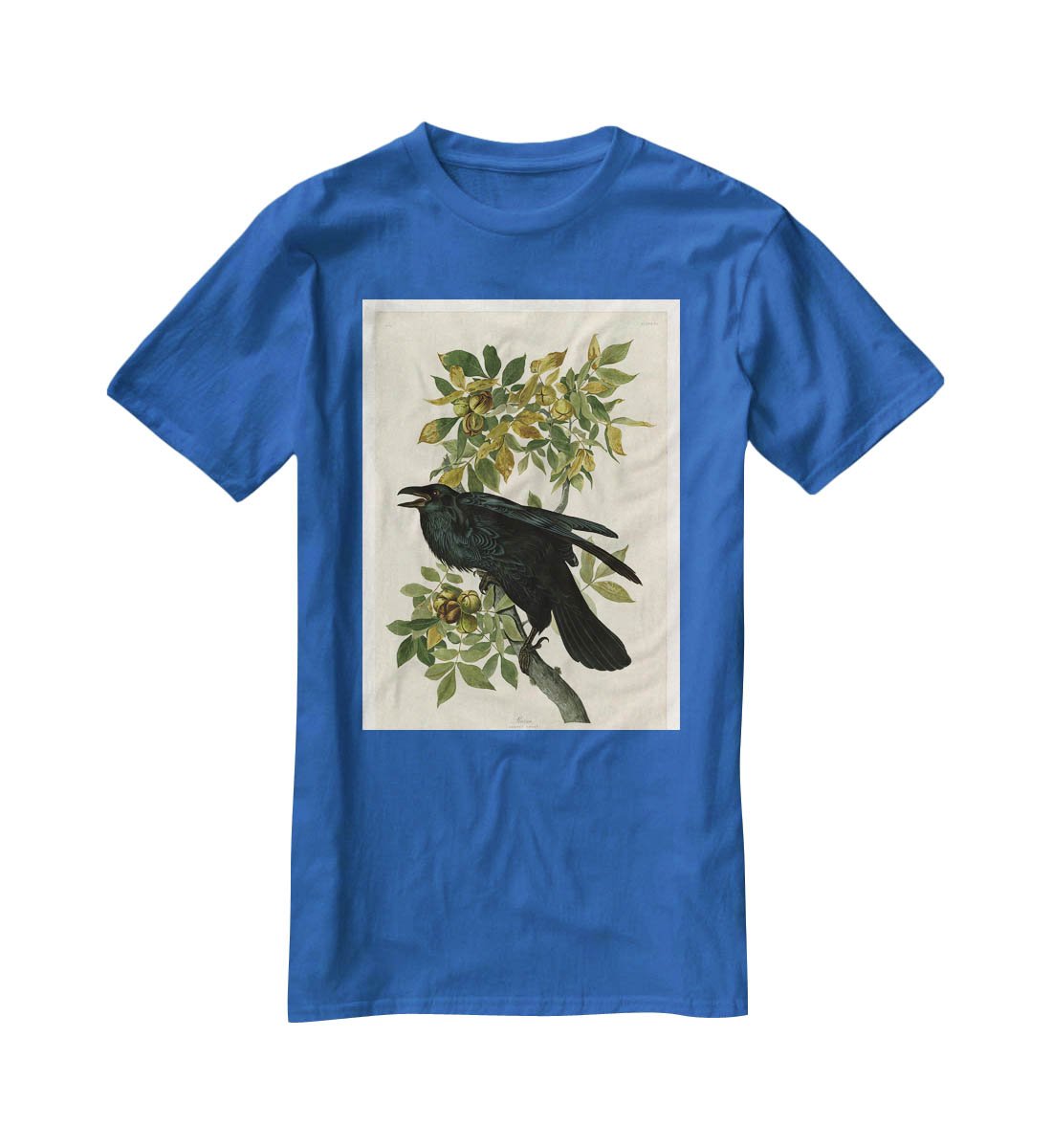 Raven by Audubon T-Shirt - Canvas Art Rocks - 2