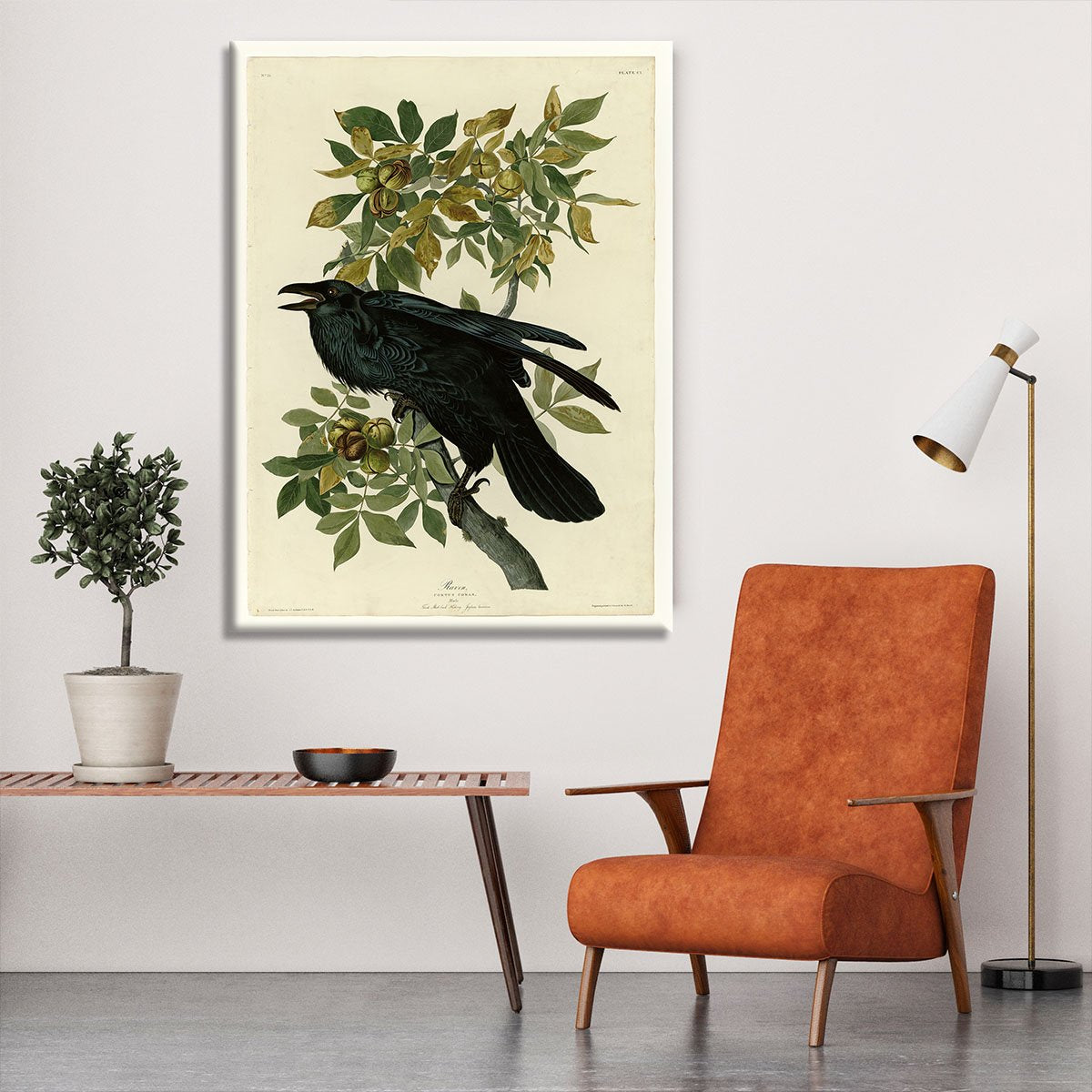 Raven by Audubon Canvas Print or Poster