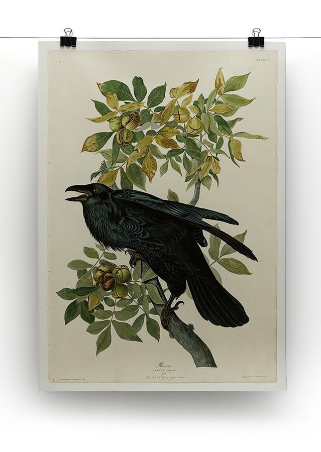 Raven by Audubon Canvas Print or Poster - Canvas Art Rocks - 2