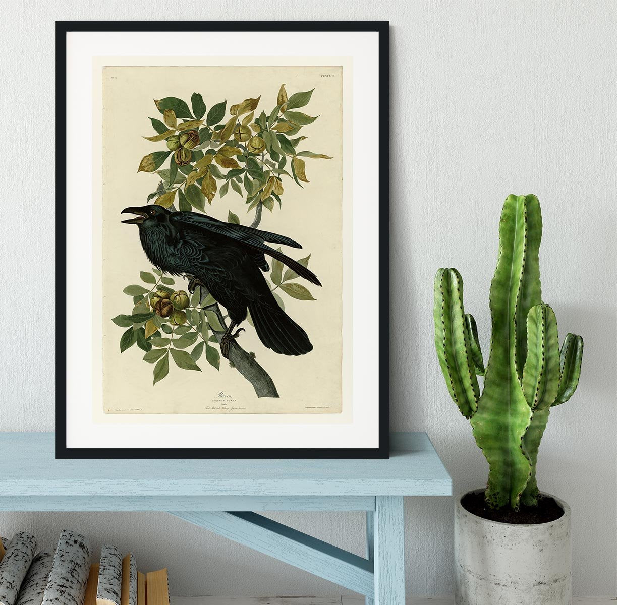 Raven by Audubon Framed Print - Canvas Art Rocks - 1