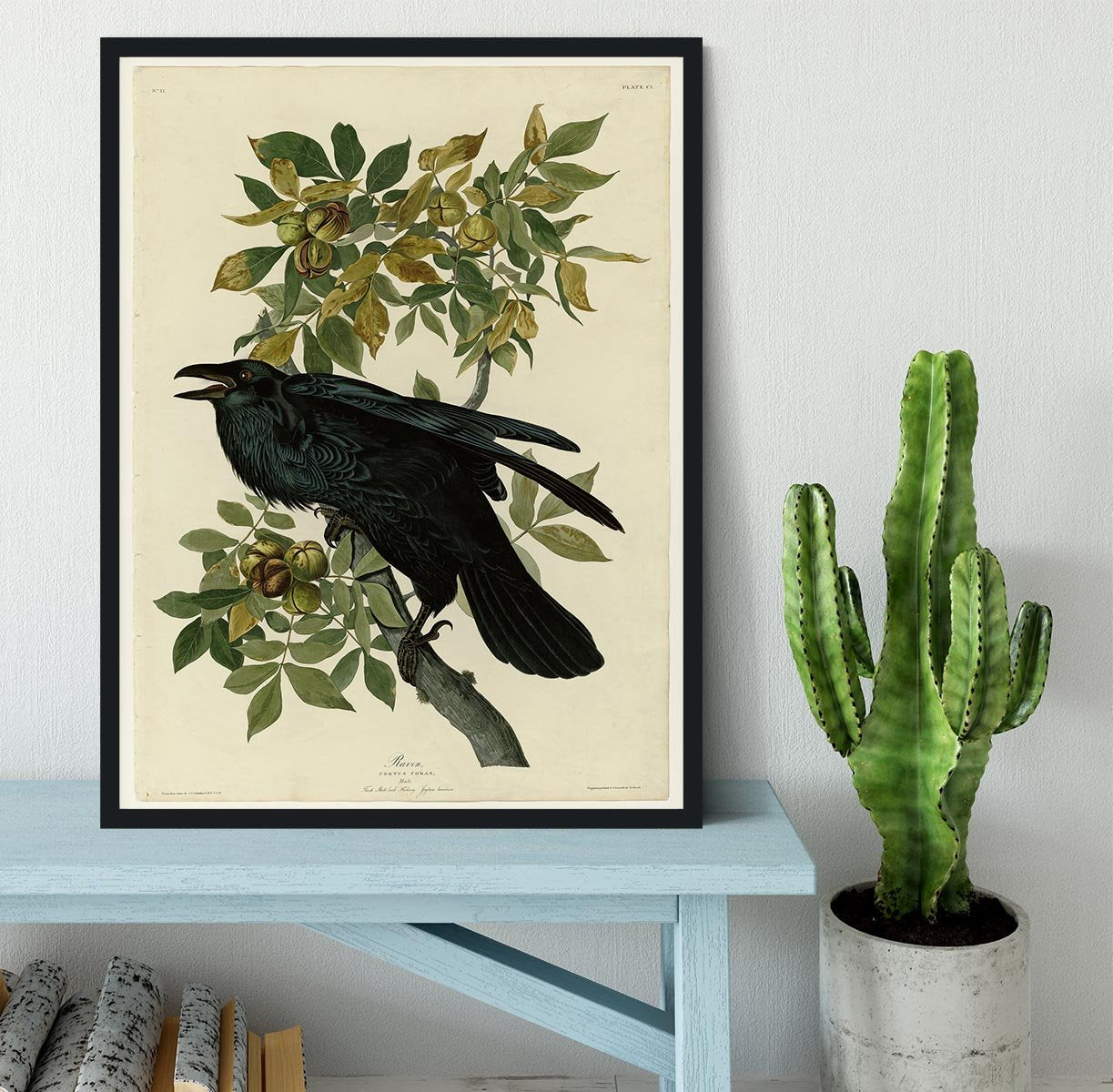 Raven by Audubon Framed Print - Canvas Art Rocks - 2