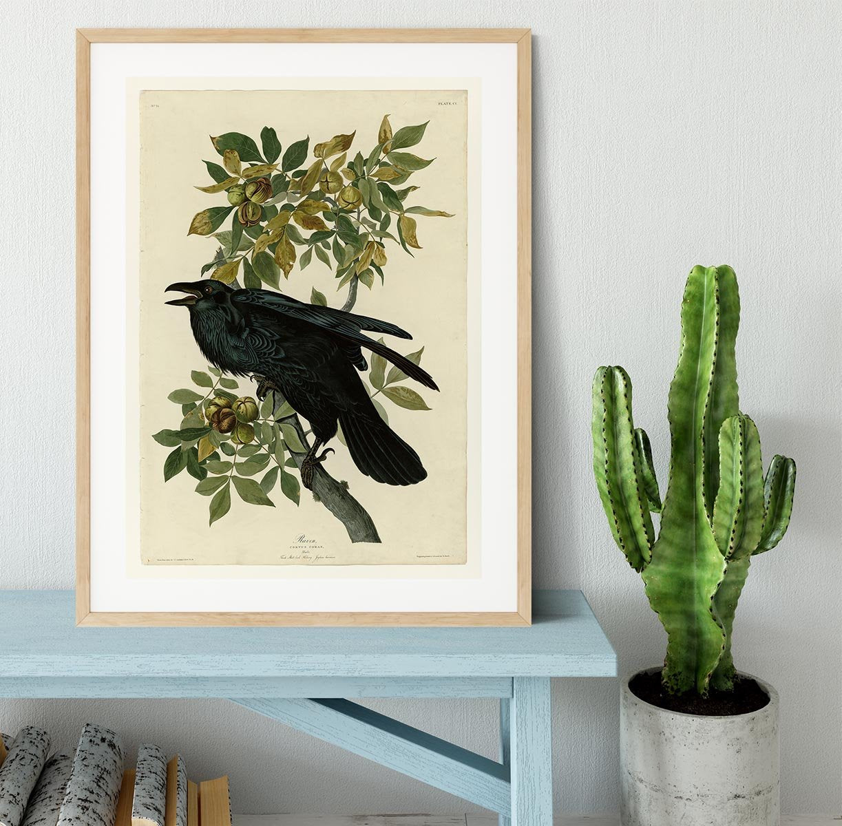 Raven by Audubon Framed Print - Canvas Art Rocks - 3