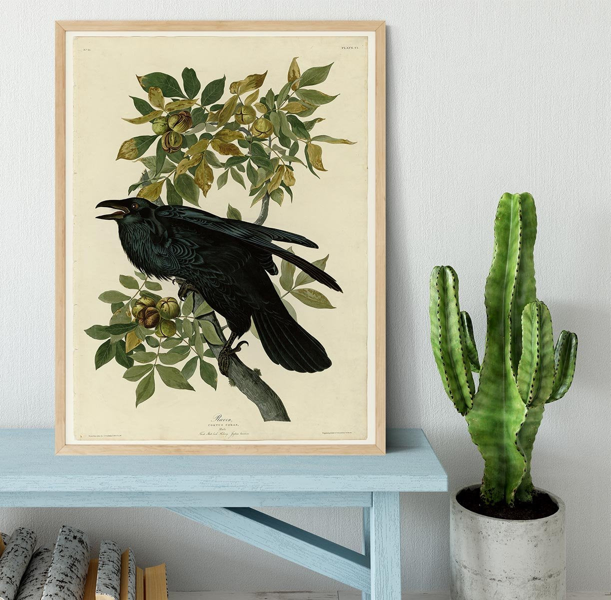 Raven by Audubon Framed Print - Canvas Art Rocks - 4