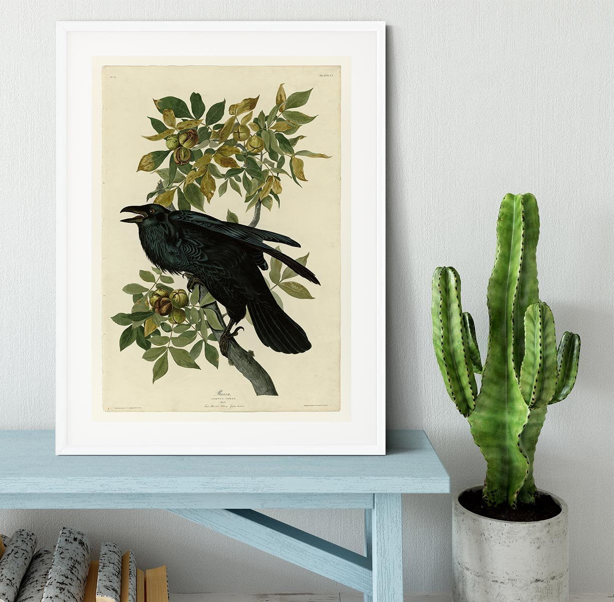 Raven by Audubon Framed Print - Canvas Art Rocks - 5