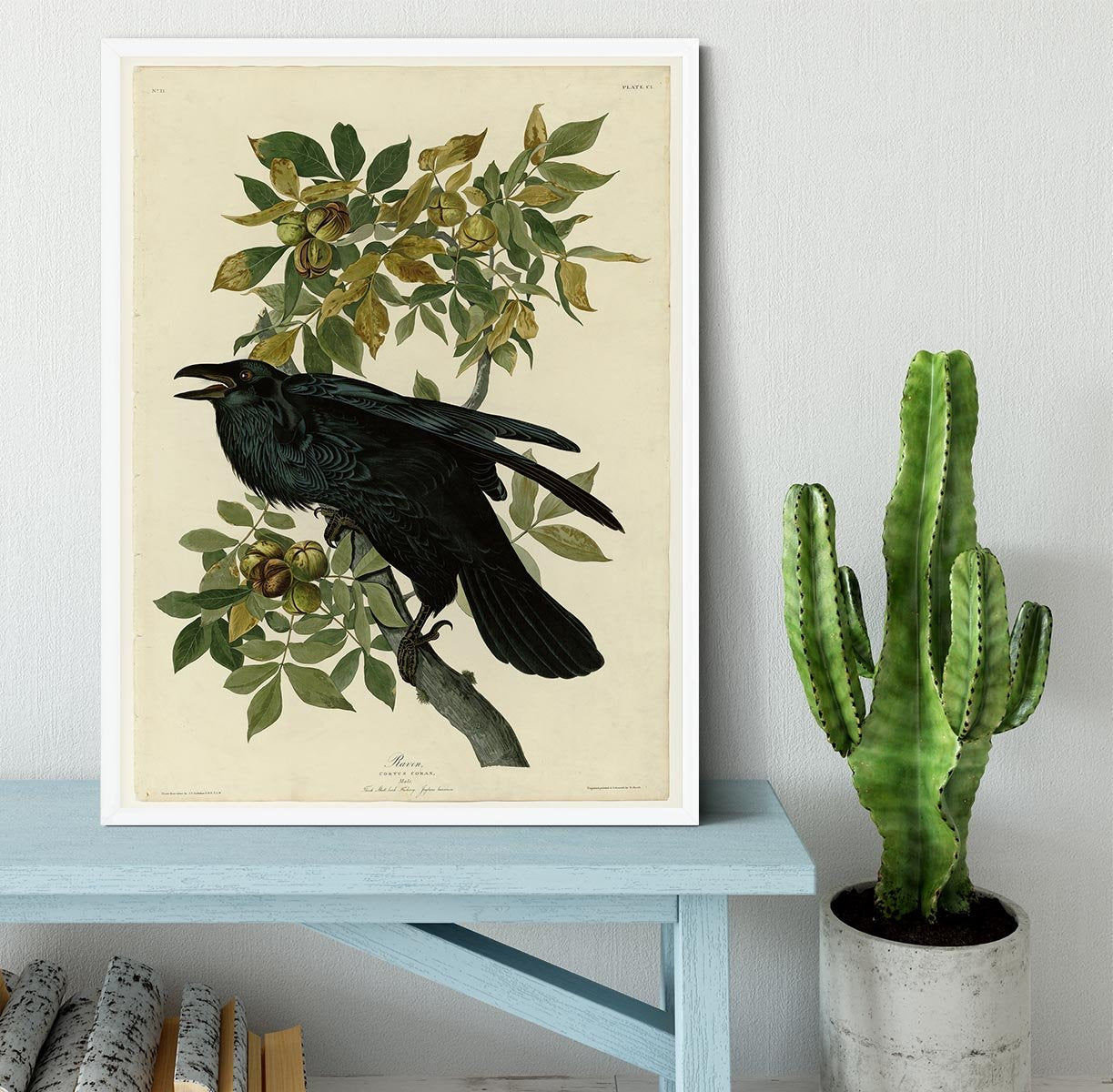 Raven by Audubon Framed Print - Canvas Art Rocks -6