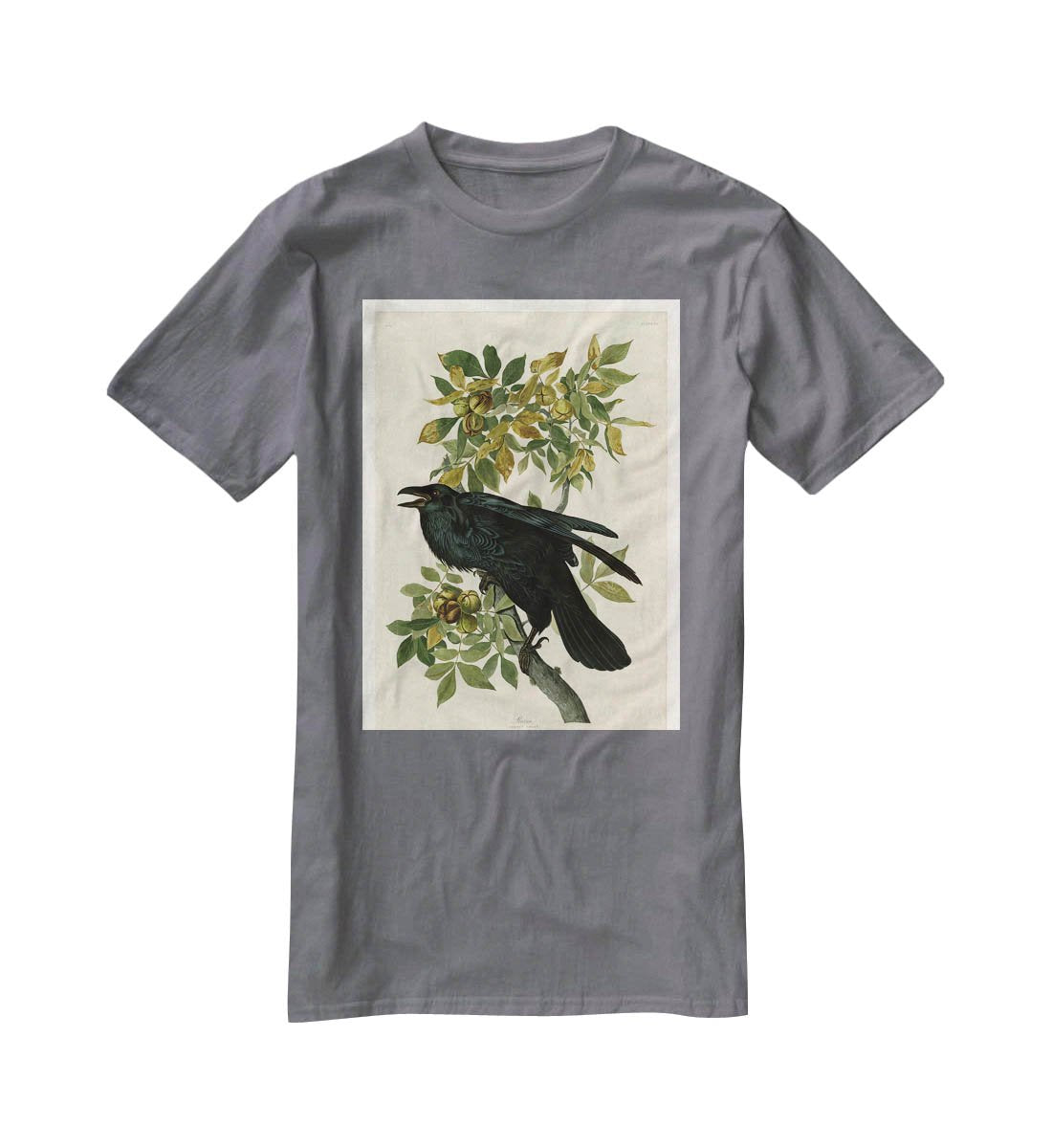 Raven by Audubon T-Shirt - Canvas Art Rocks - 3