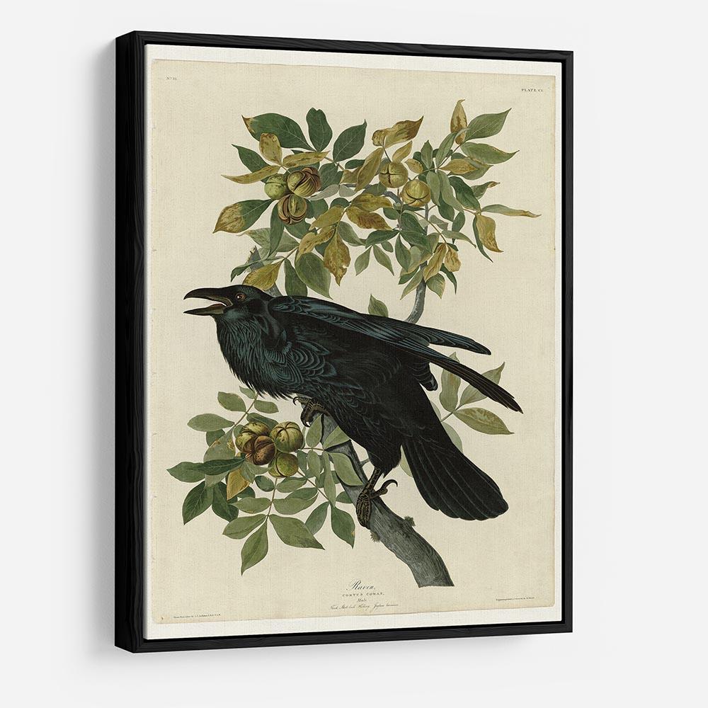 Raven by Audubon HD Metal Print - Canvas Art Rocks - 6