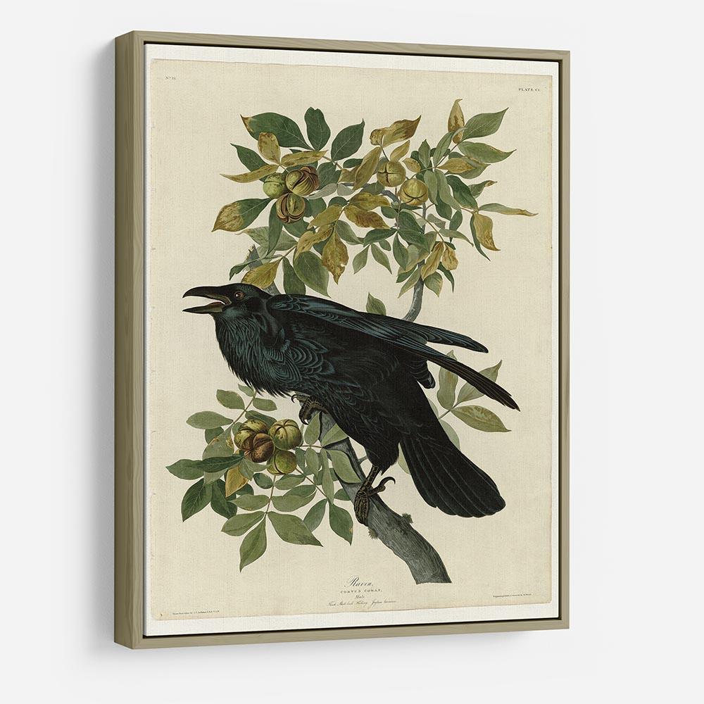 Raven by Audubon HD Metal Print - Canvas Art Rocks - 8