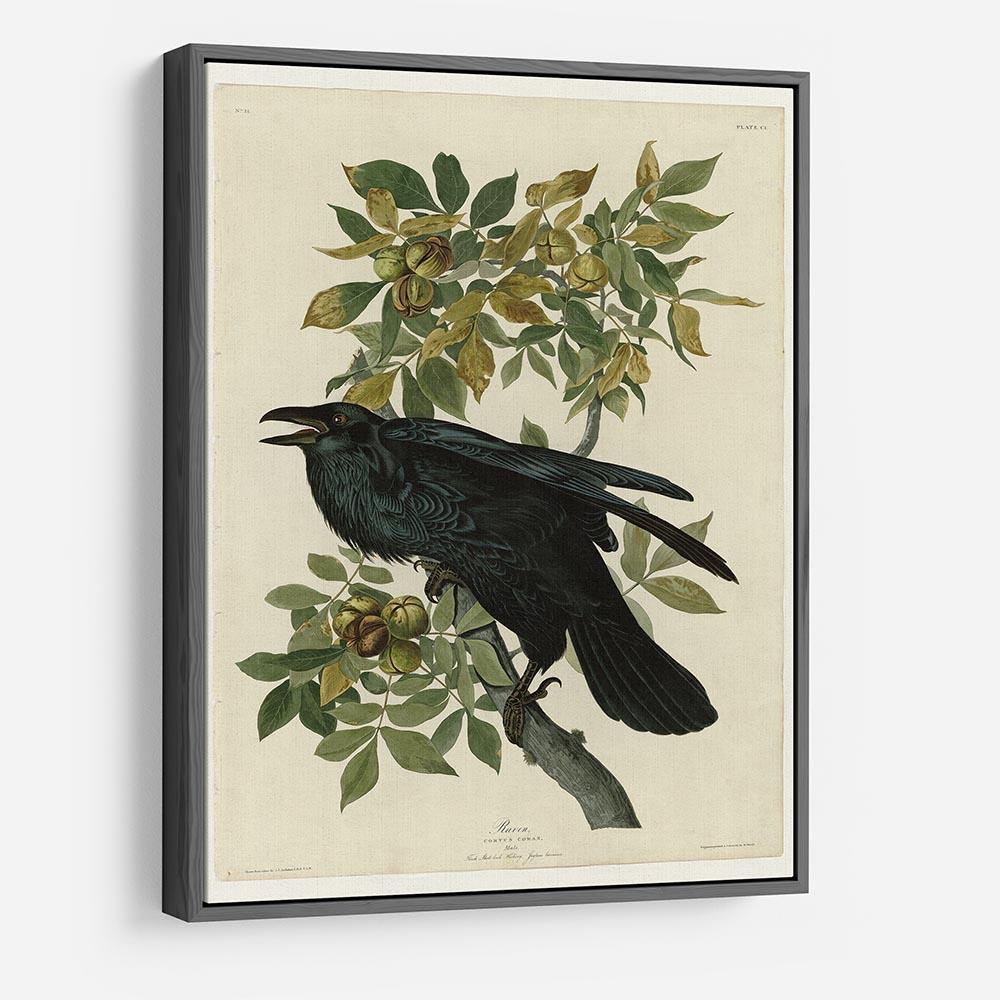 Raven by Audubon HD Metal Print - Canvas Art Rocks - 9