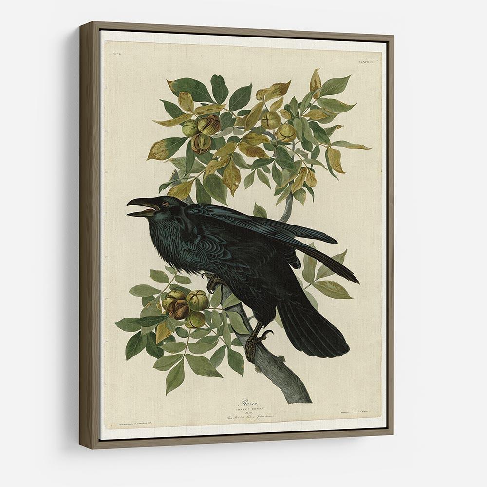 Raven by Audubon HD Metal Print - Canvas Art Rocks - 10