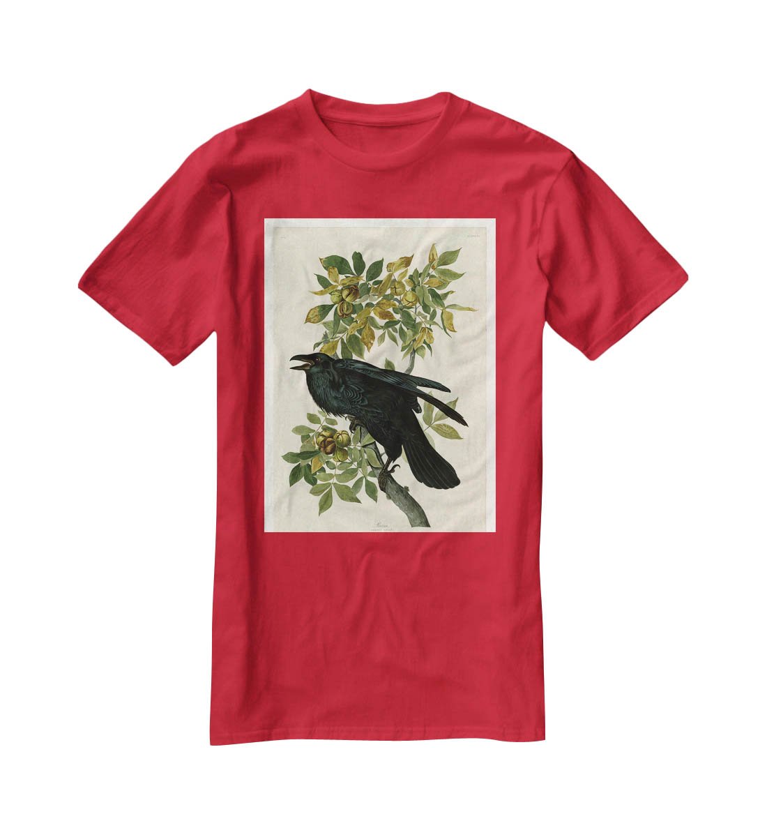 Raven by Audubon T-Shirt - Canvas Art Rocks - 4