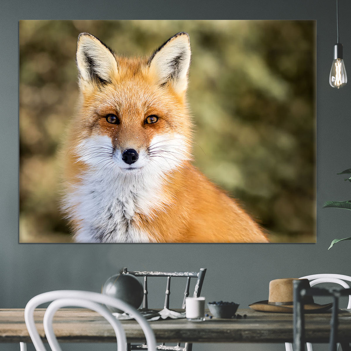 Red Fox - Vulpes vulpes sitting up at attention Canvas Print or Poster - Canvas Art Rocks - 3