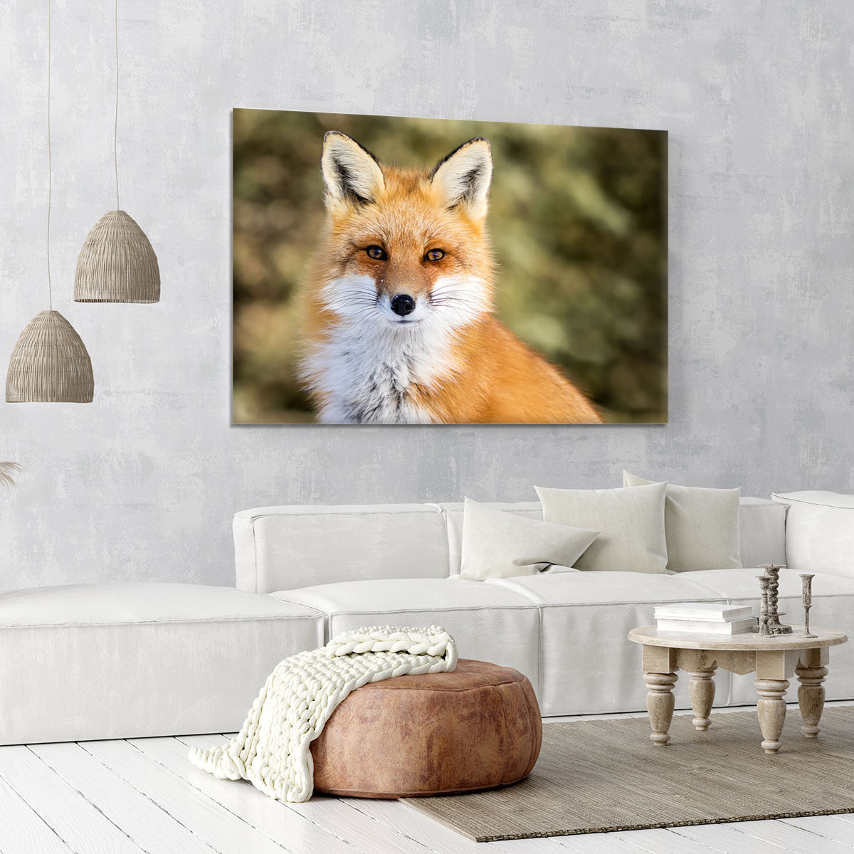Red Fox - Vulpes vulpes sitting up at attention Canvas Print or Poster - Canvas Art Rocks - 6