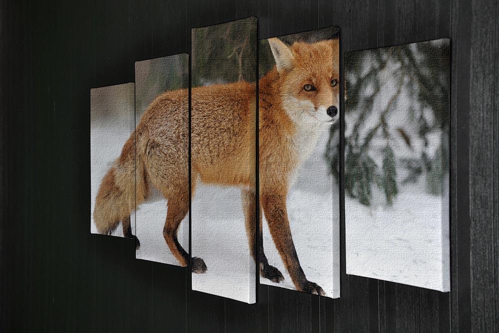 Red Fox Vulpes vulpes in winter time 5 Split Panel Canvas - Canvas Art Rocks - 2